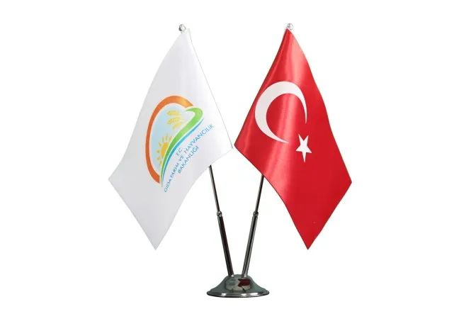 Masa Bayrağı